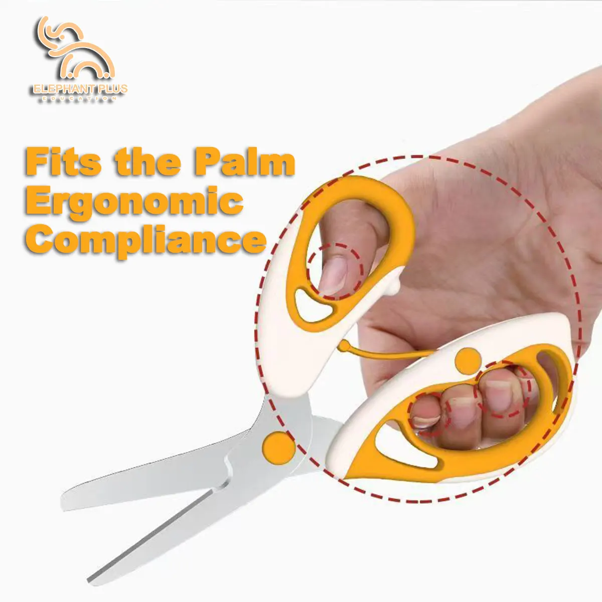 Baby Food Scissors｜Portable Fo - Baby Food Scissors 评论和价格