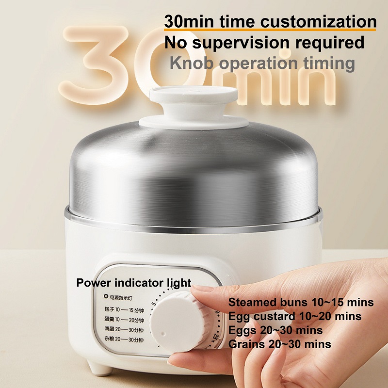 400W Multifunctional Egg Cooke - Baby Food Steamer 评论和价格